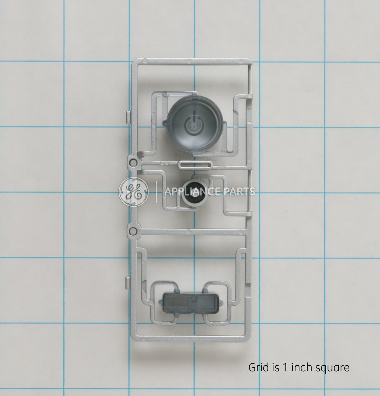WH42X10983_3572.jpg