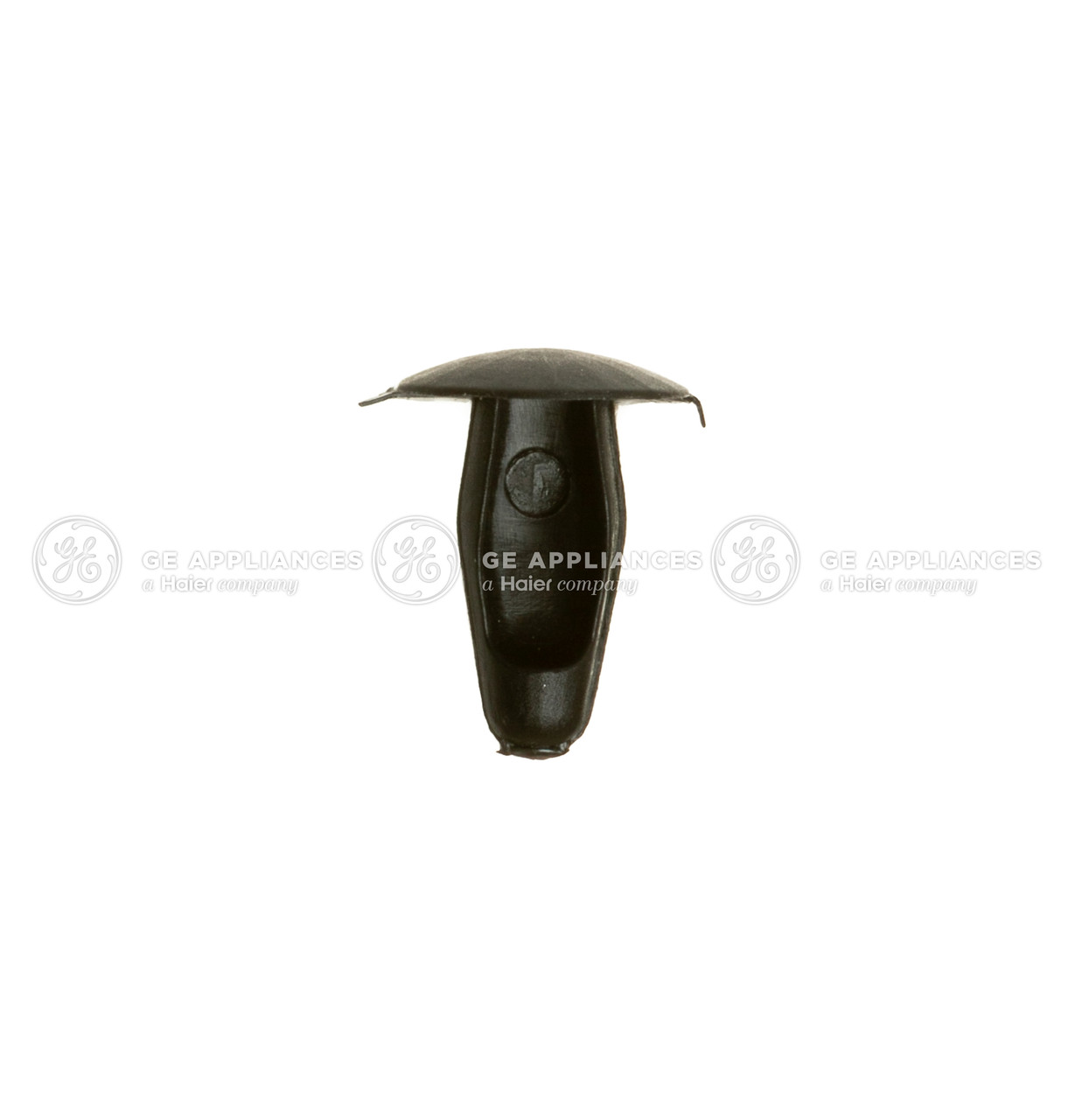 WE1X21775-4563.jpg
