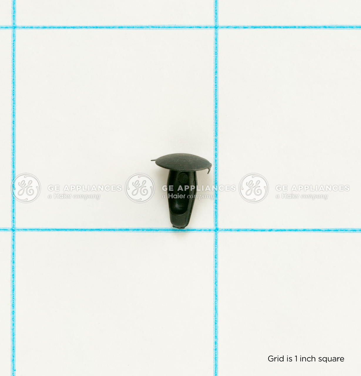WE1X21775-4572.jpg