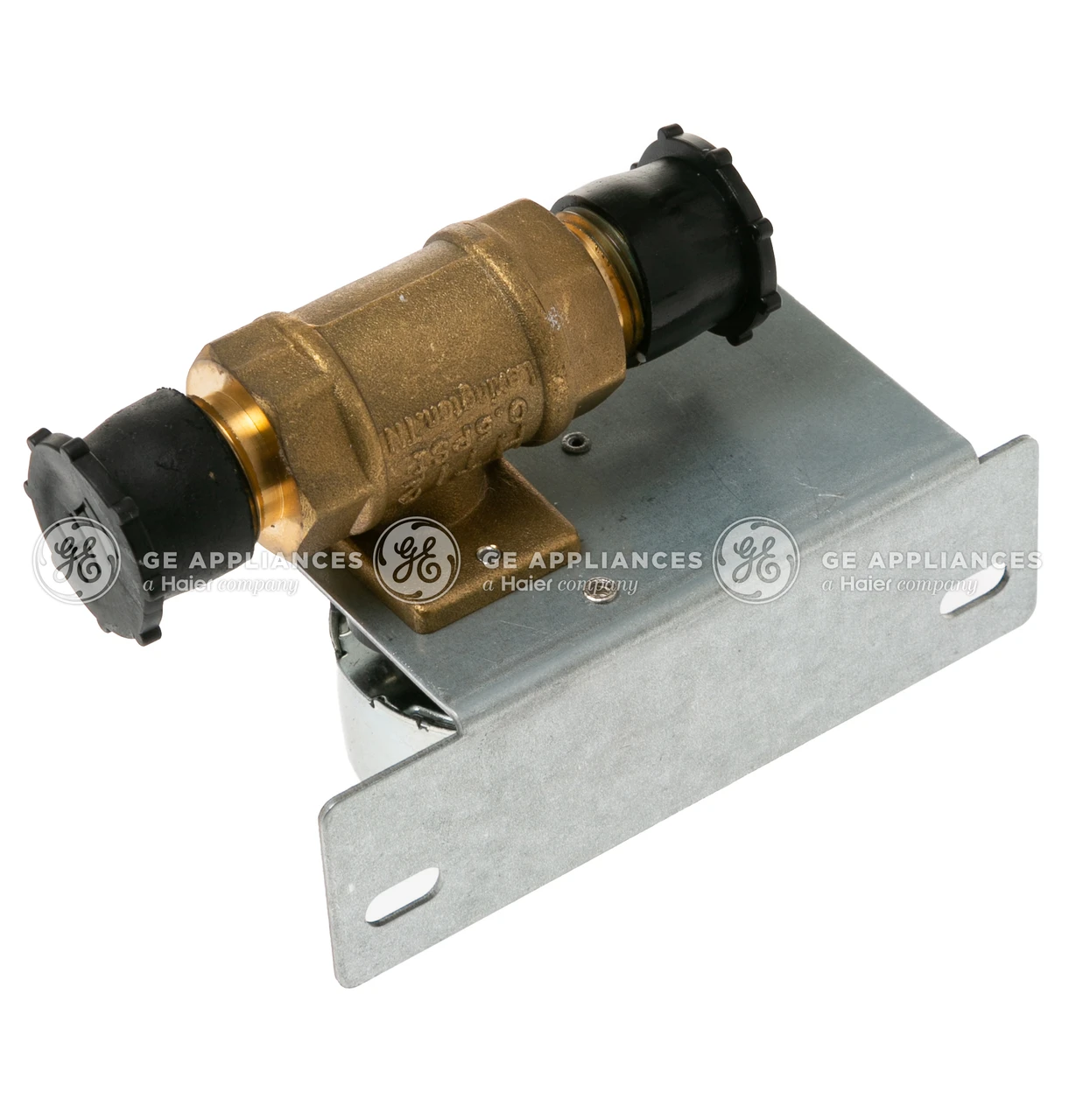 WB21K10154-1620.jpg