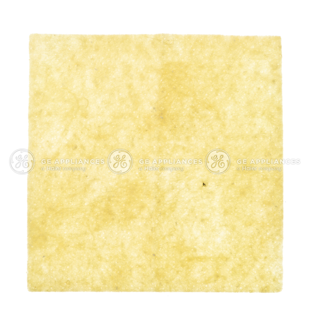 WH08X26934-3881.jpg