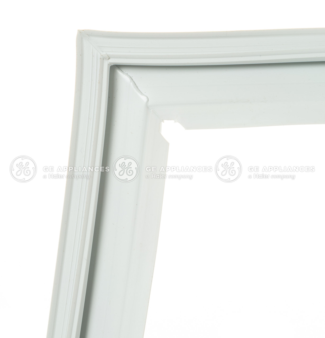WR14X28402-1179.jpg