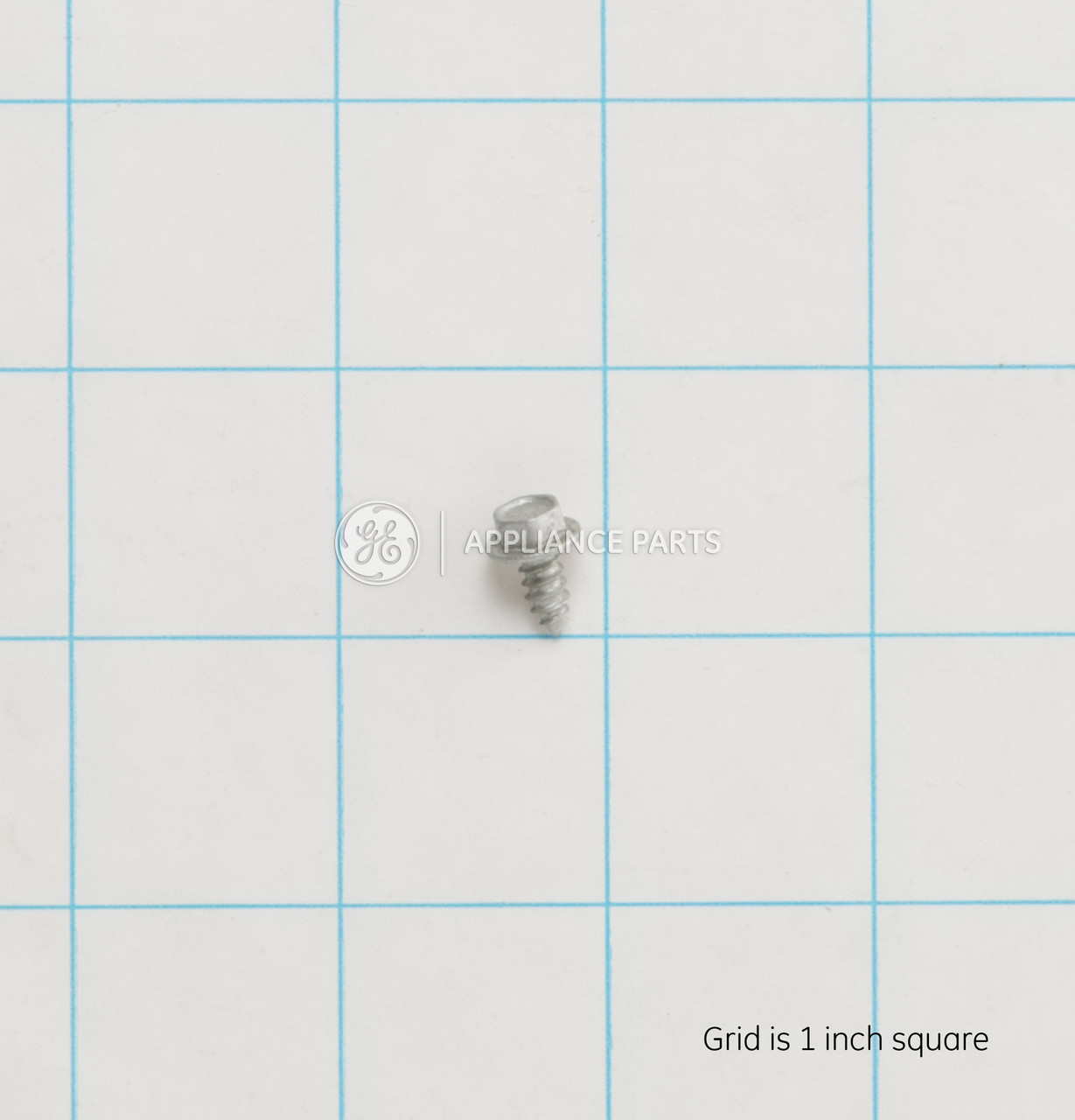WE02X10106-8164.jpg