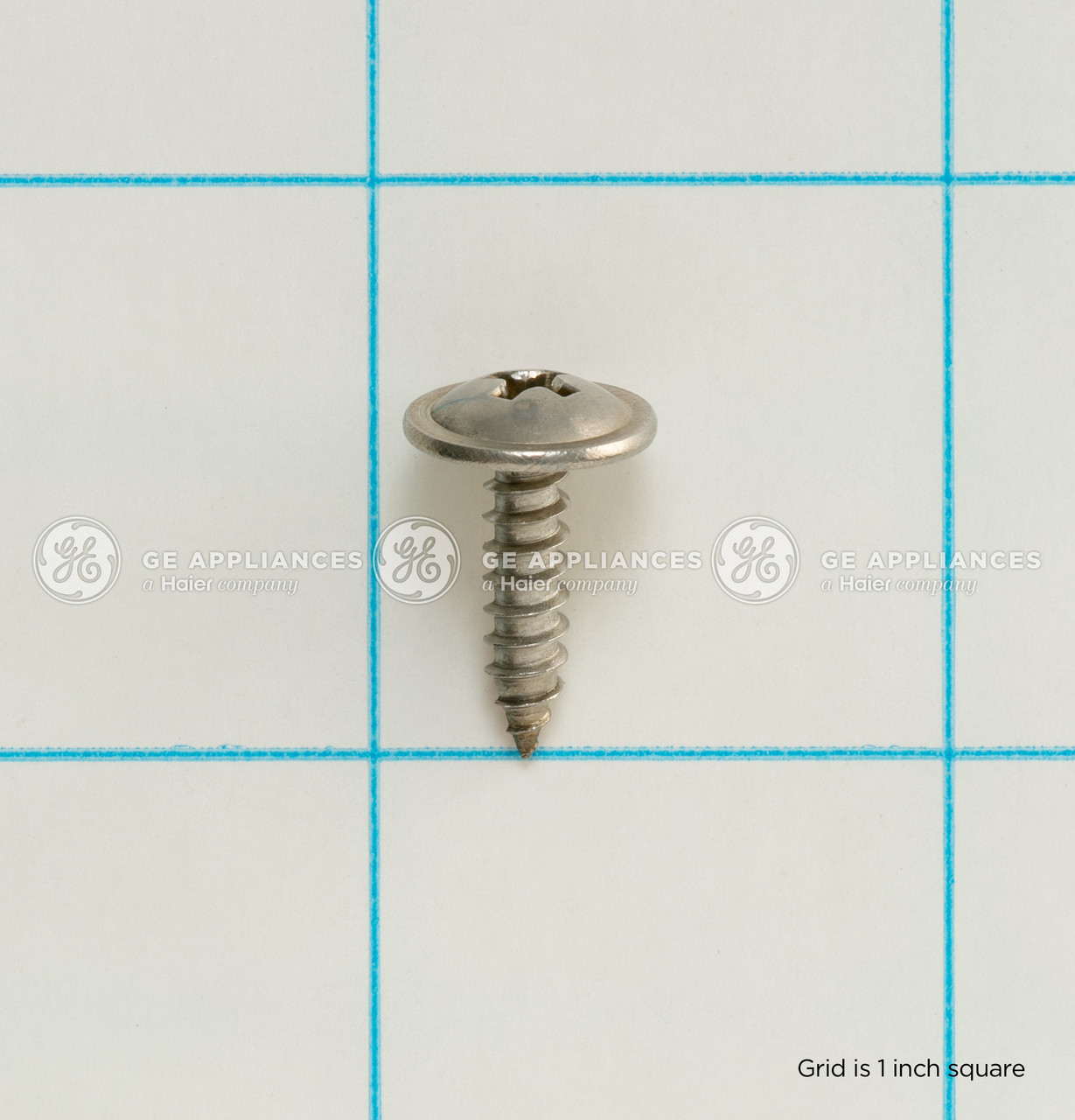 WH02X29618-5462.jpg