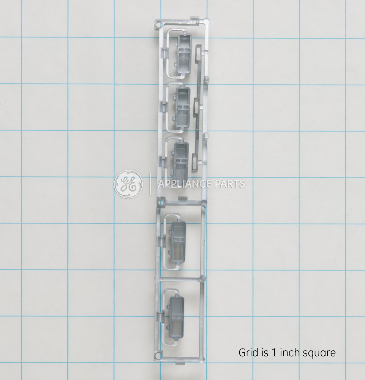 WH42X10985_3618.jpg
