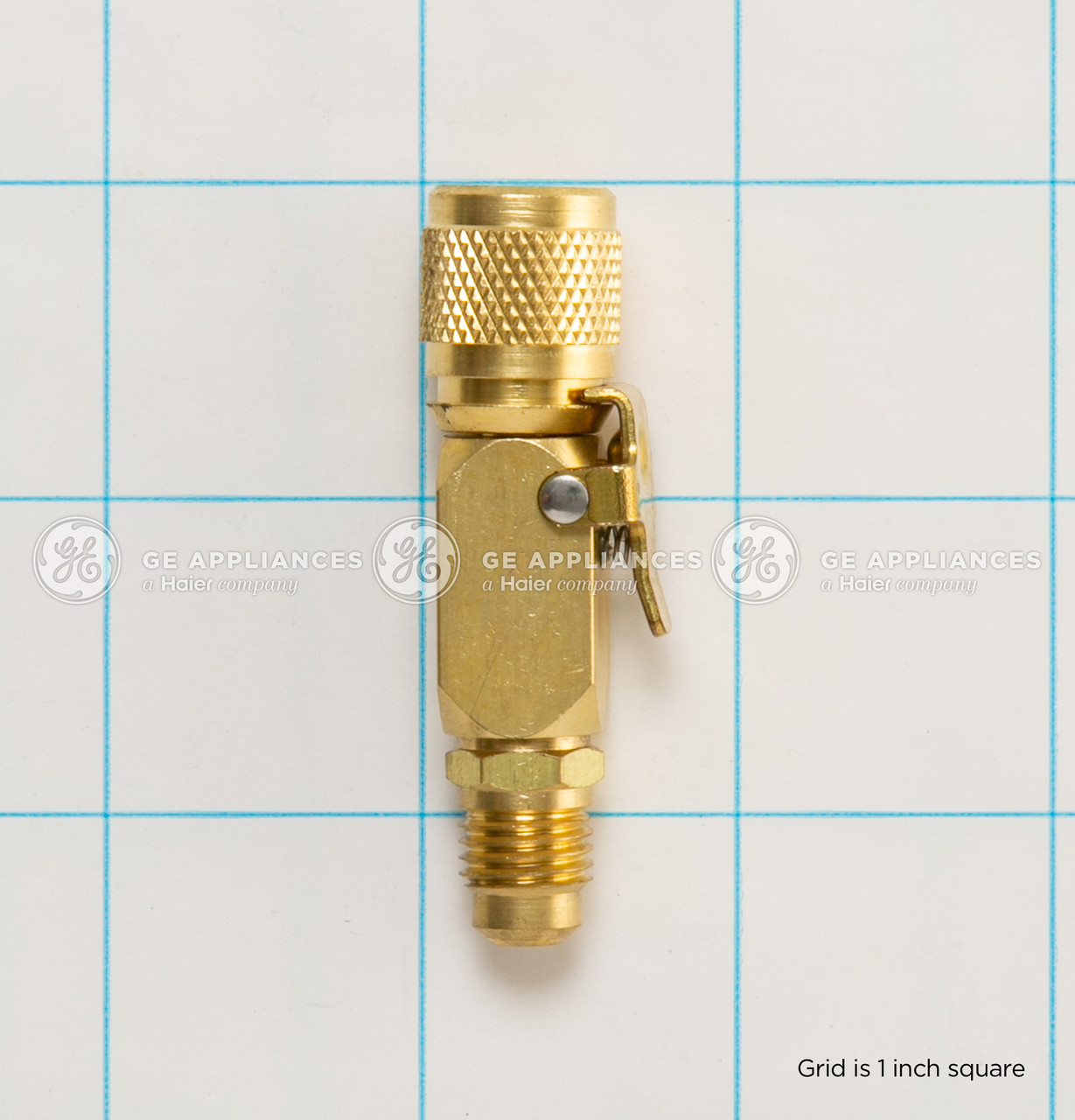 WX5X24803-3528.jpg WX5X24803-3528.jpg