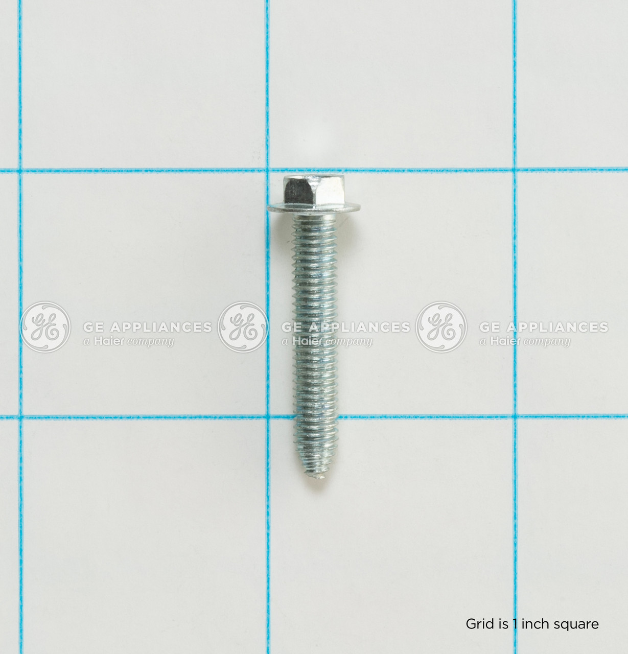 WB1X1258-2216.jpg