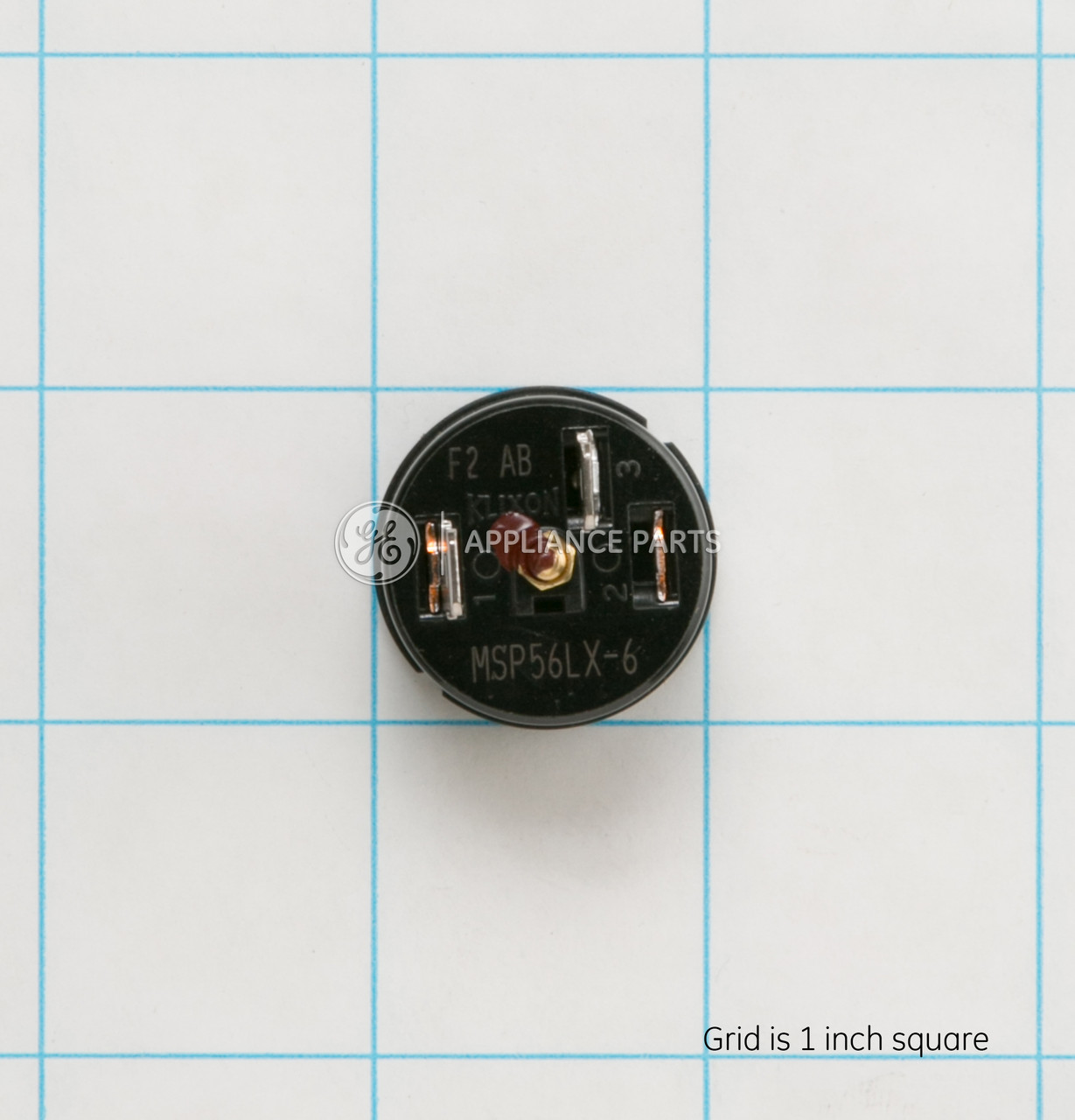 WS08X10017-8229.jpg