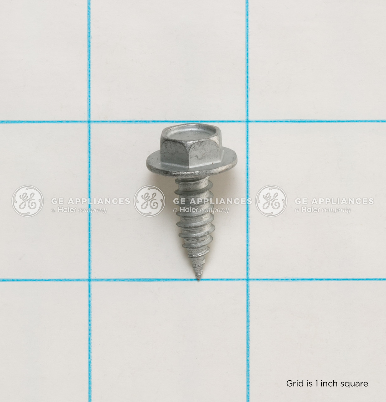 WR01X10617-3982.jpg