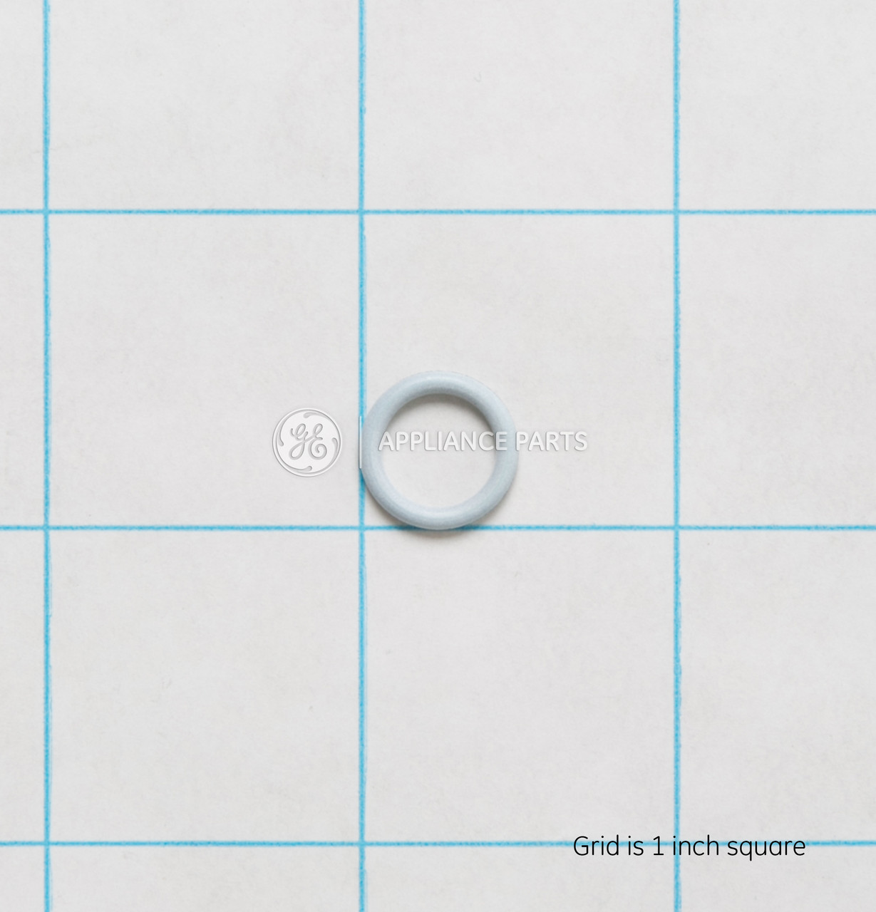 WE1M461-6075.jpg