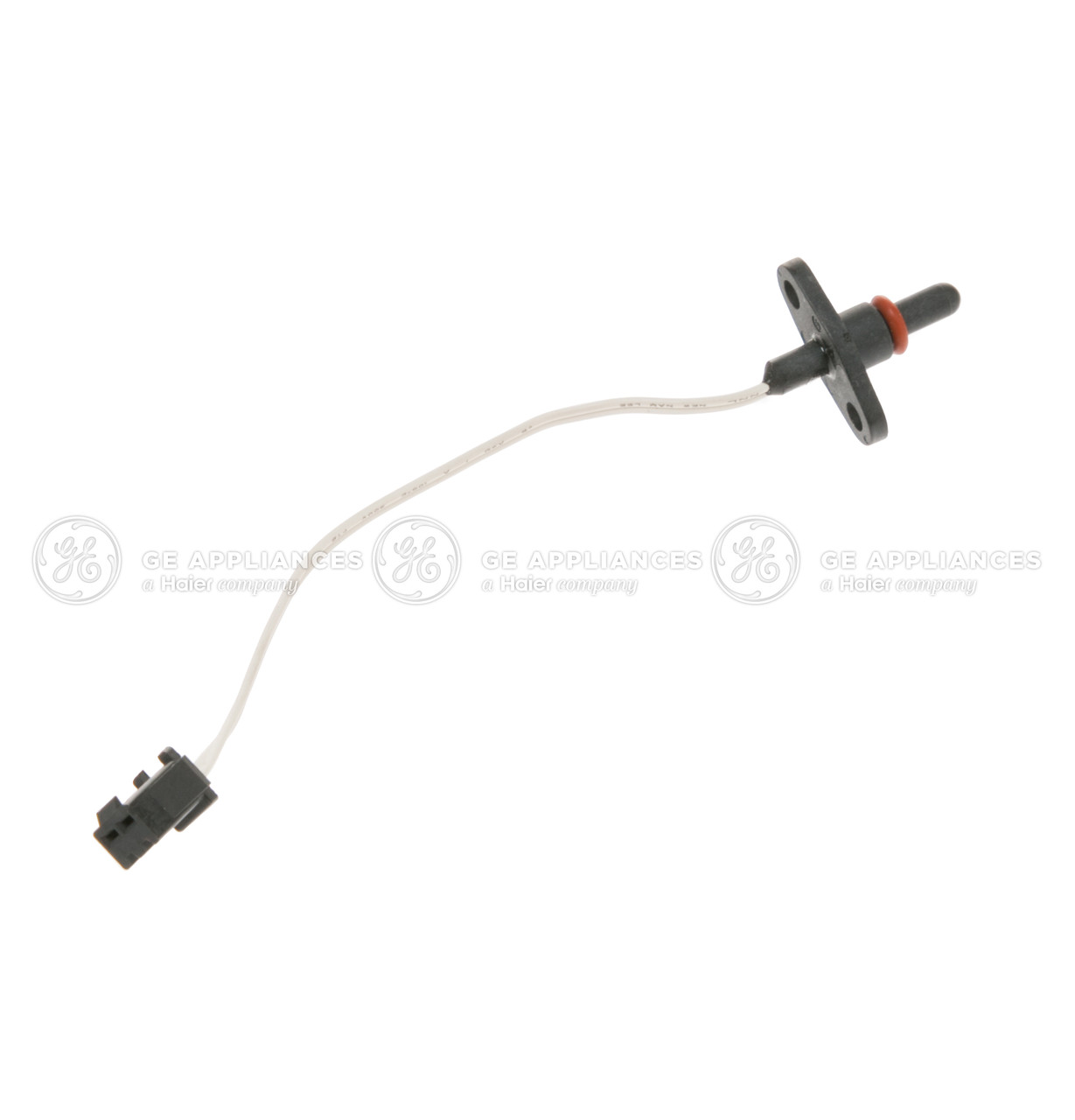 WD21X10394-5272.jpg