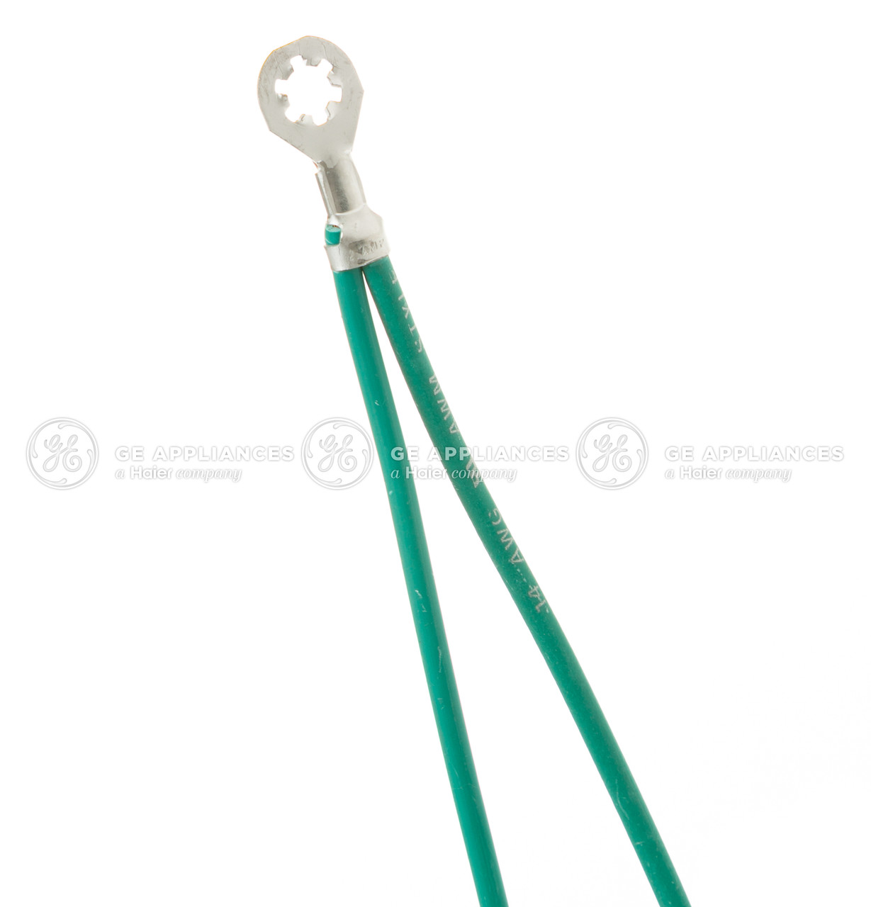 WB18T10590-0172.jpg