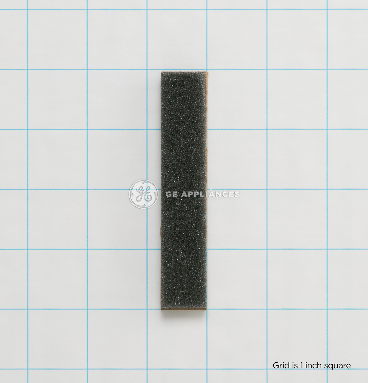 WE1M566-0940.jpg