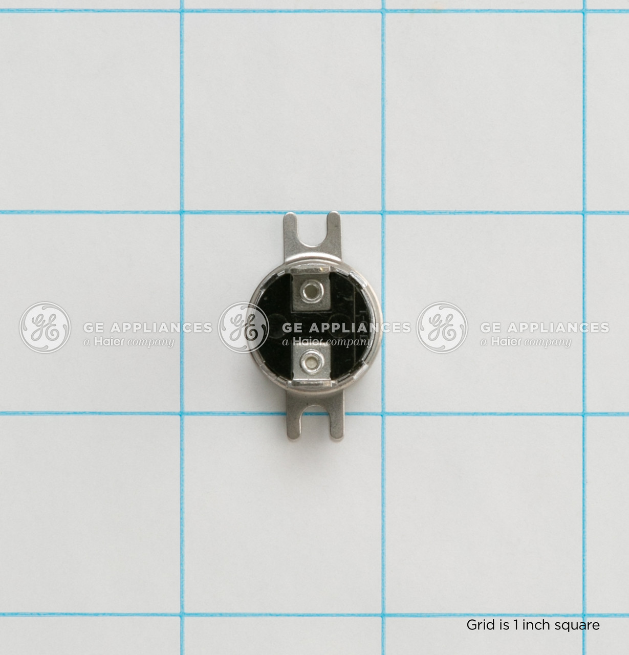 WB24M15-9058.jpg