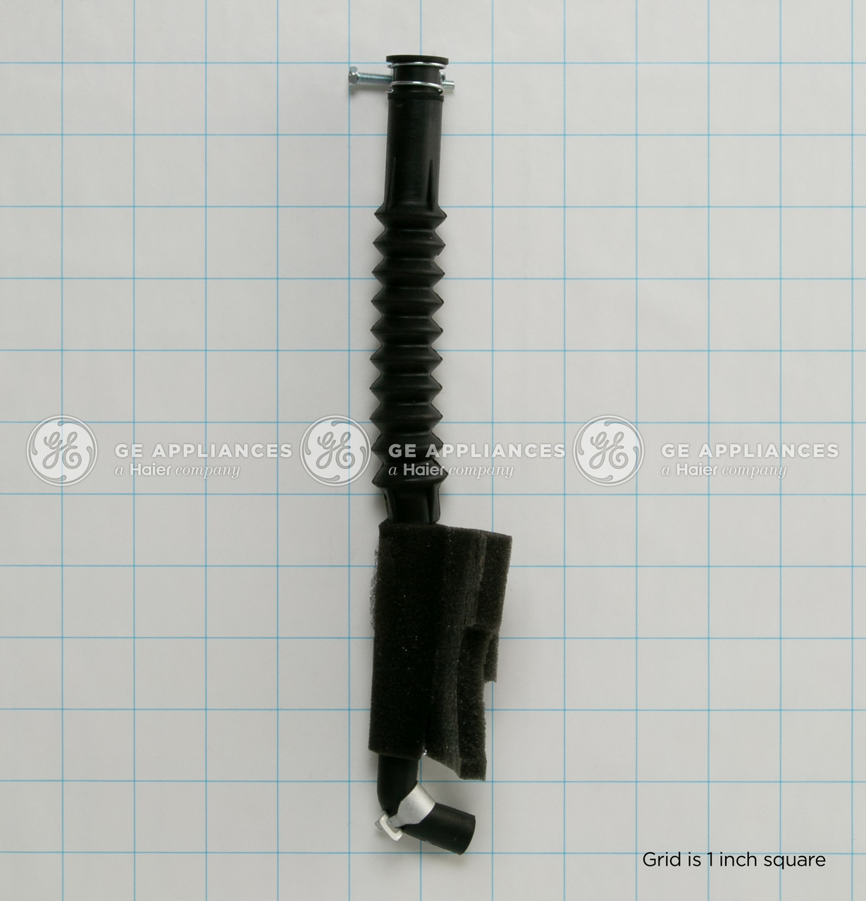 WH41X10291_3017.jpg