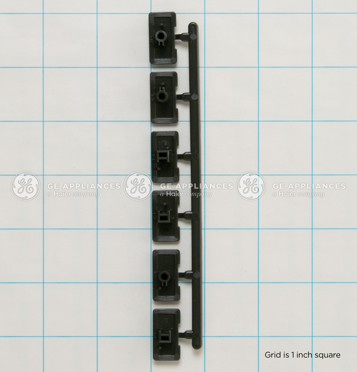 WD09X22636-3620.jpg