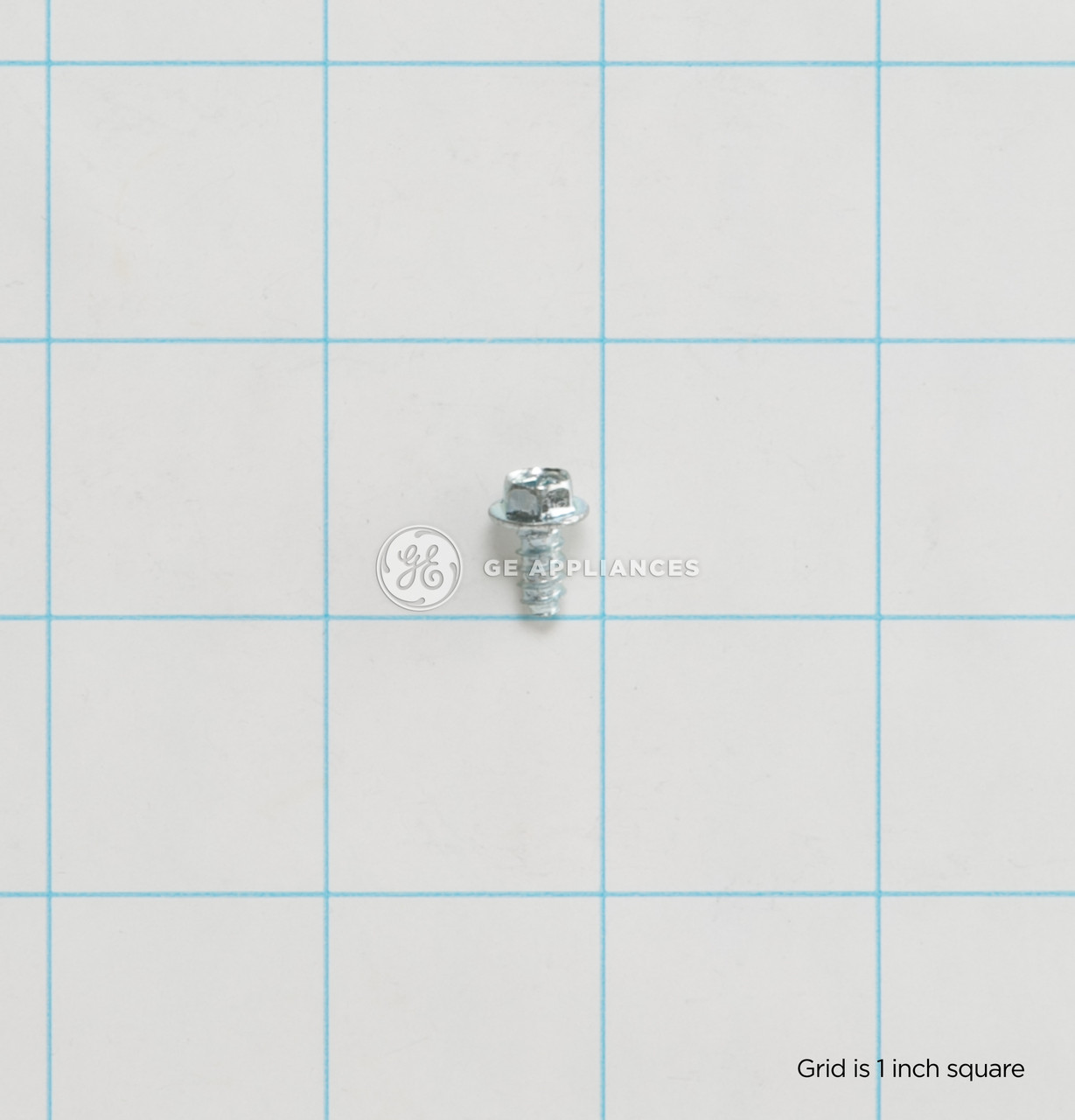 WE2M307-8604.jpg WE2M307-8604.jpg