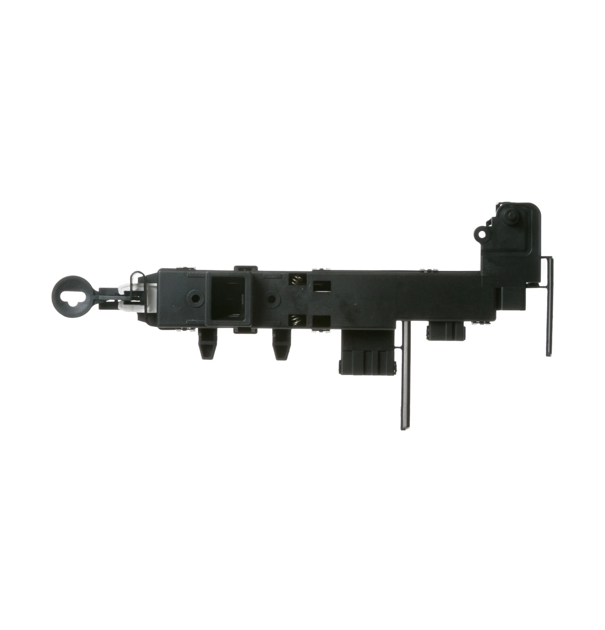 WH10X10006-8239.jpg