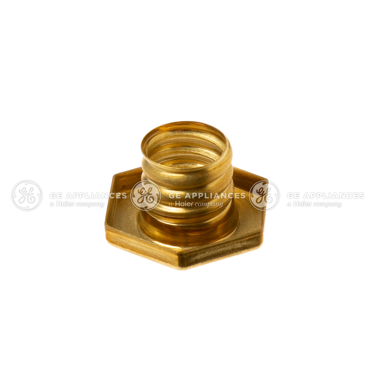 WD02X28518-0313.jpg