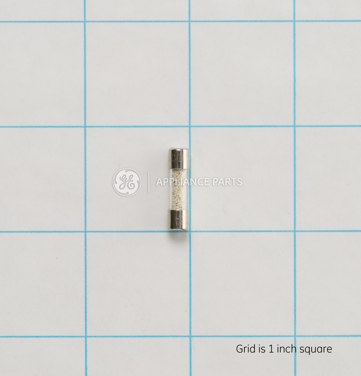 WP23X10009-6780.jpg WP23X10009-6780.jpg