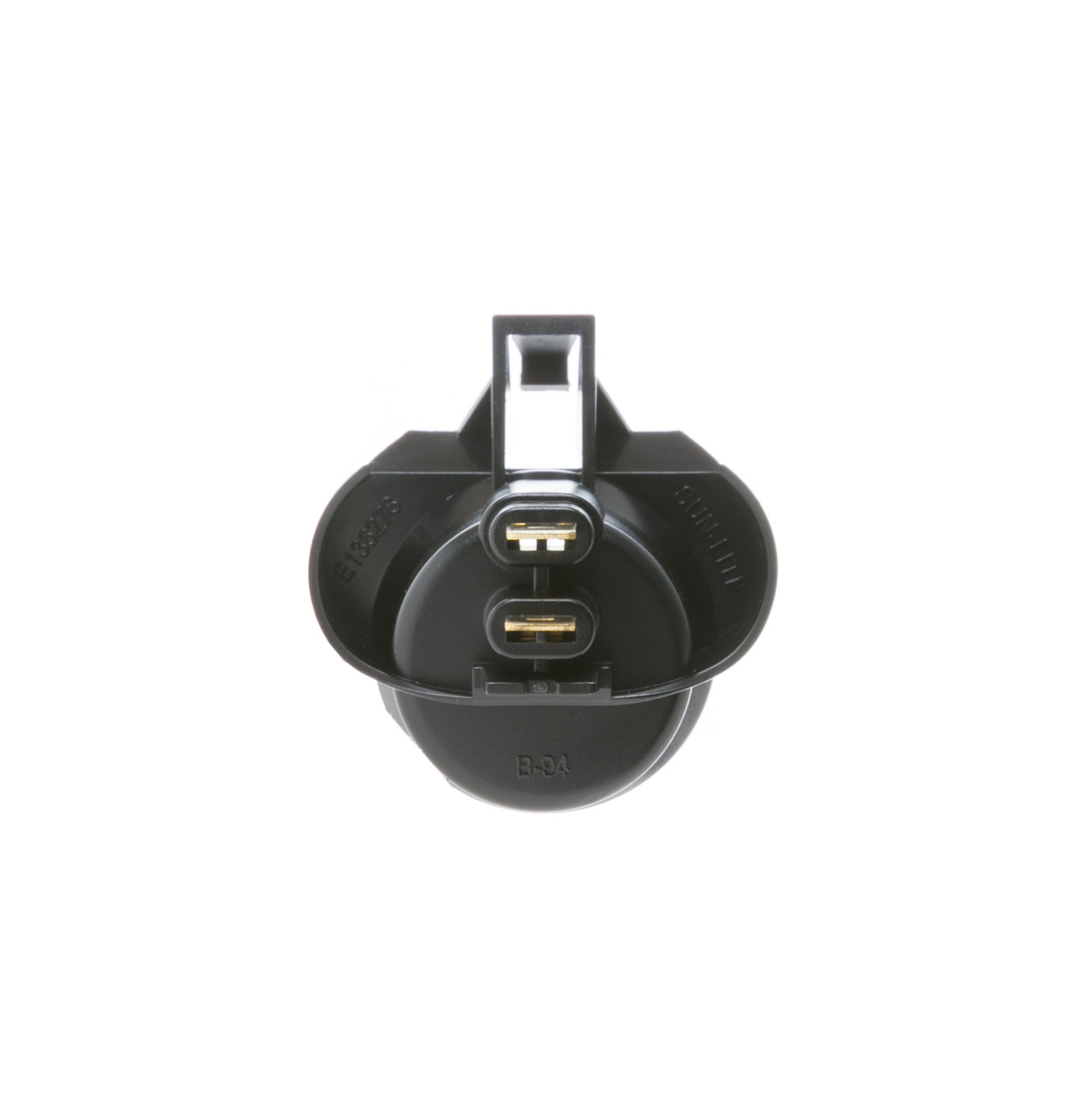 WR2X9391-8993.jpg
