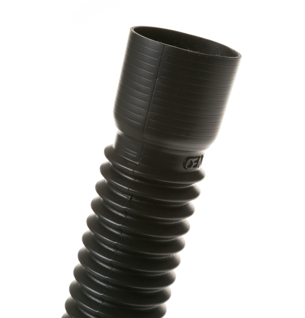 WH49X317-4248.jpg