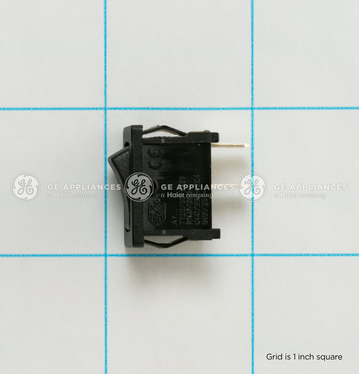 WB24X10036-2225.jpg WB24X10036-2225.jpg