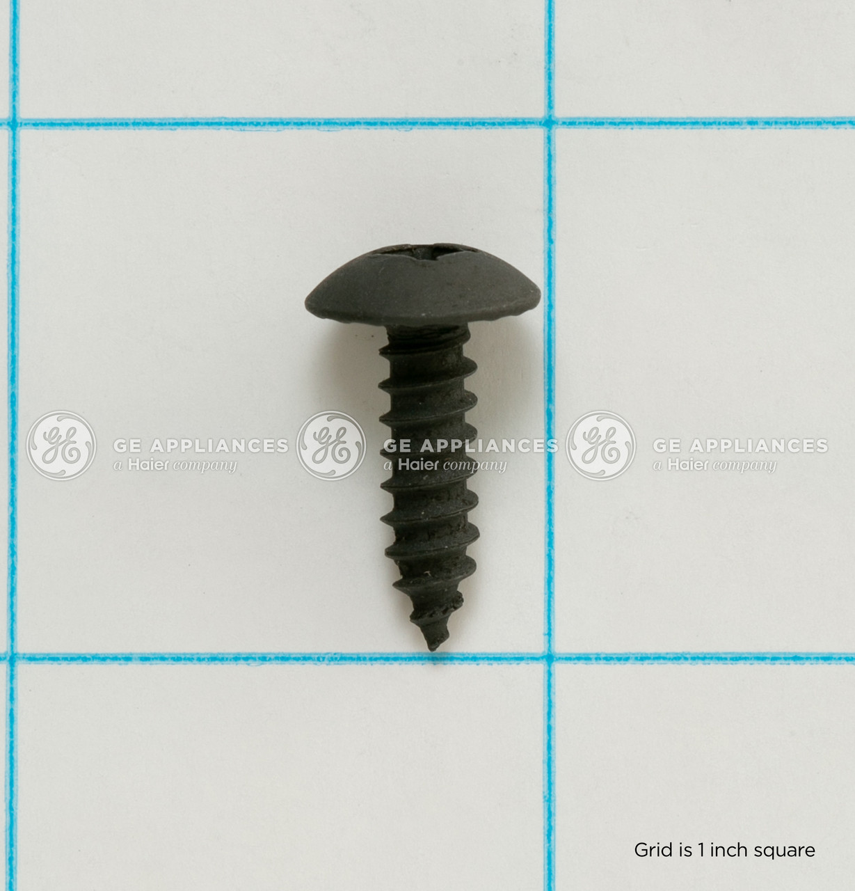 WE2M200-4747.jpg