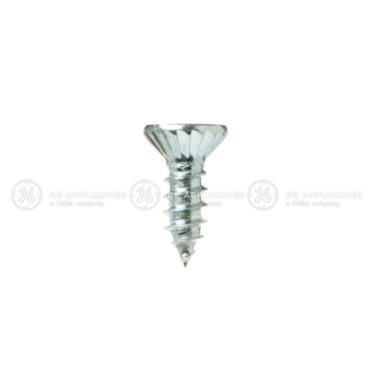 WE2M281-6198.jpg