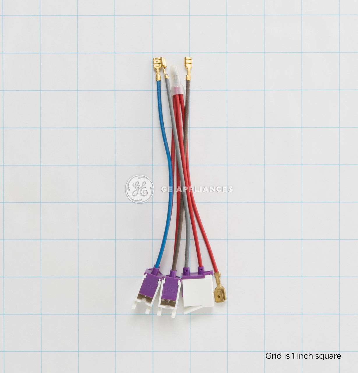 WB25T10087-4988.jpg