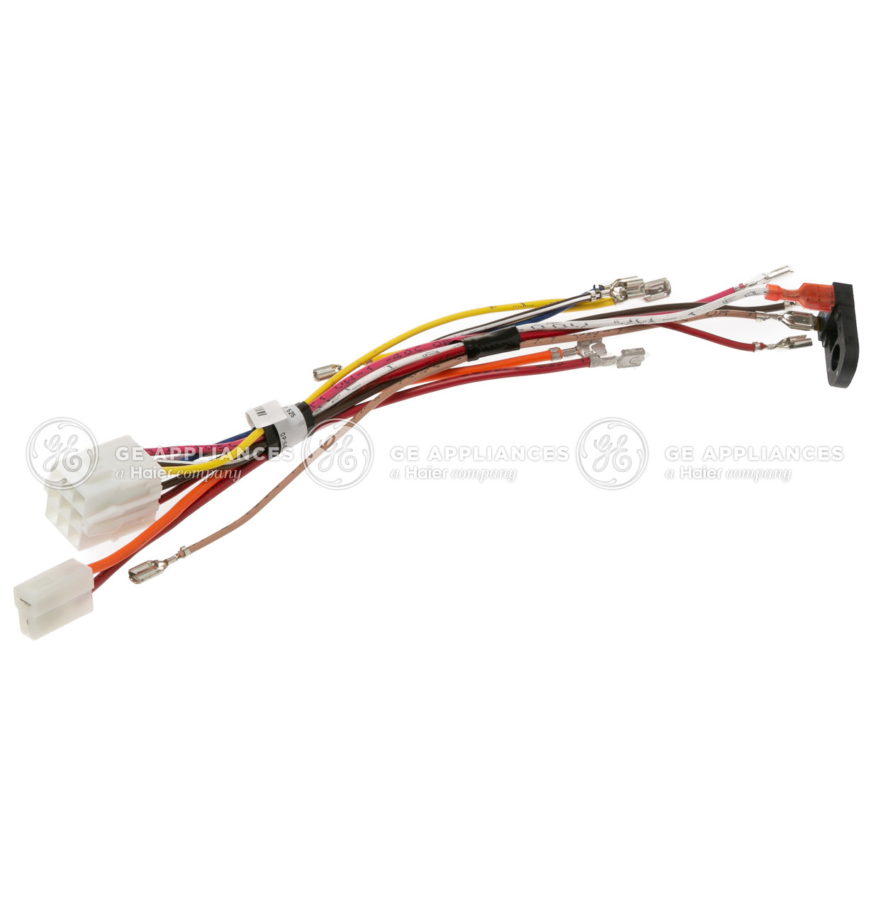 WE26M362-0096.jpg