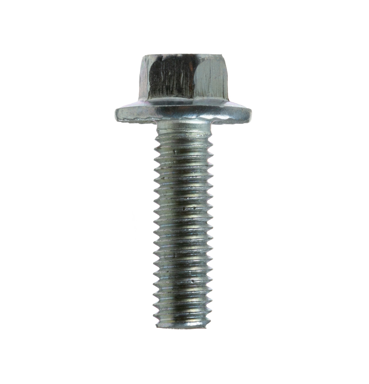WD02X25064-4800.jpg