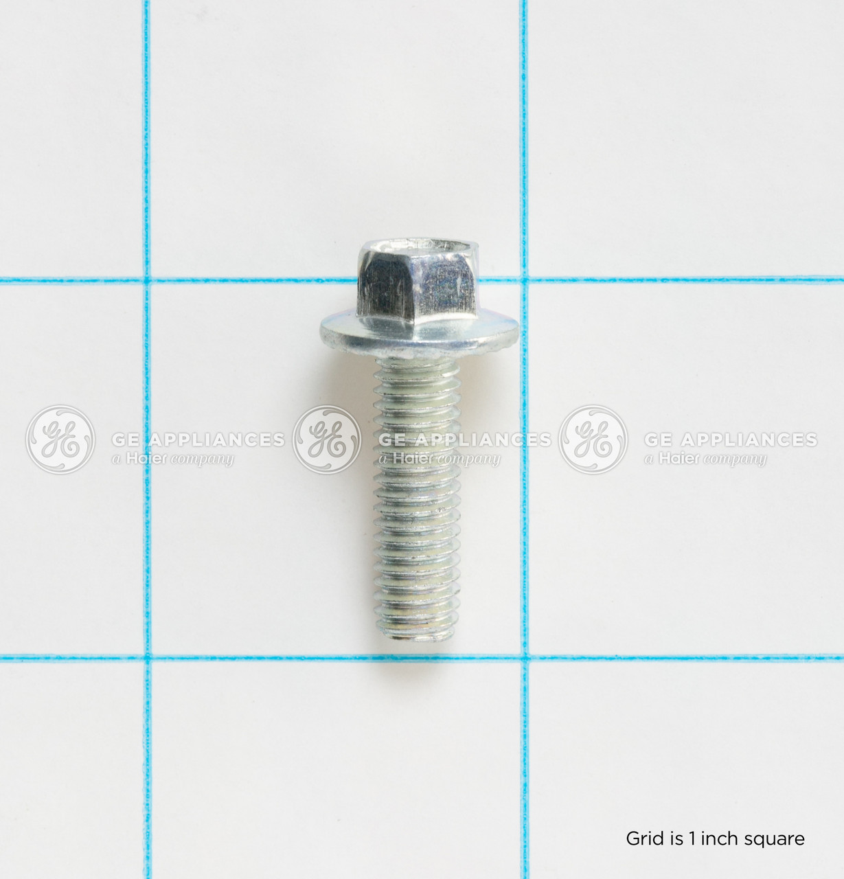 WD02X25064-4819.jpg