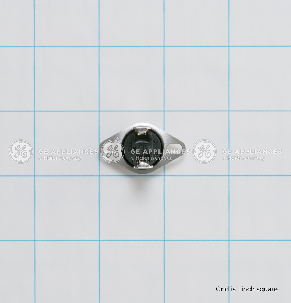 WD21X10509-5625.jpg WD21X10509-5625.jpg