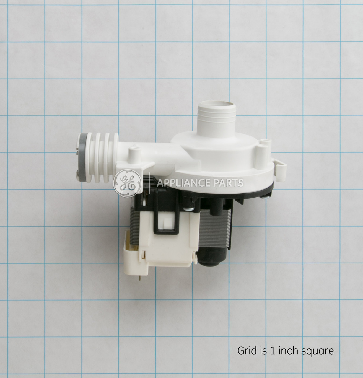 WD26X10039-7419.jpg