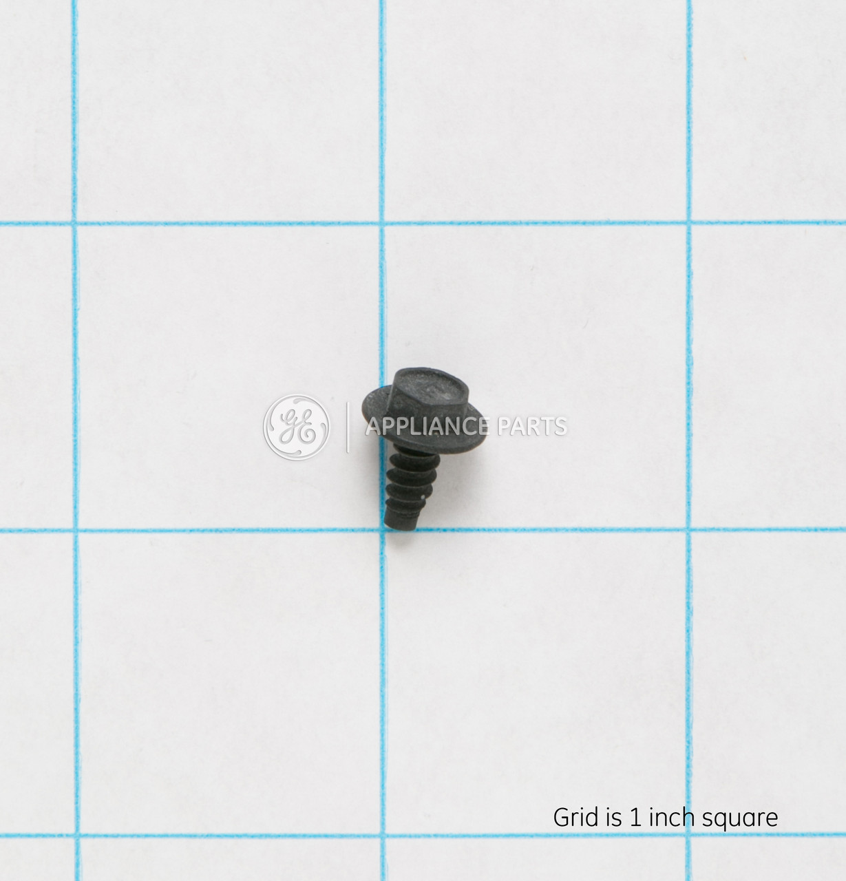 WB1X536-5907.jpg WB1X536-5907.jpg