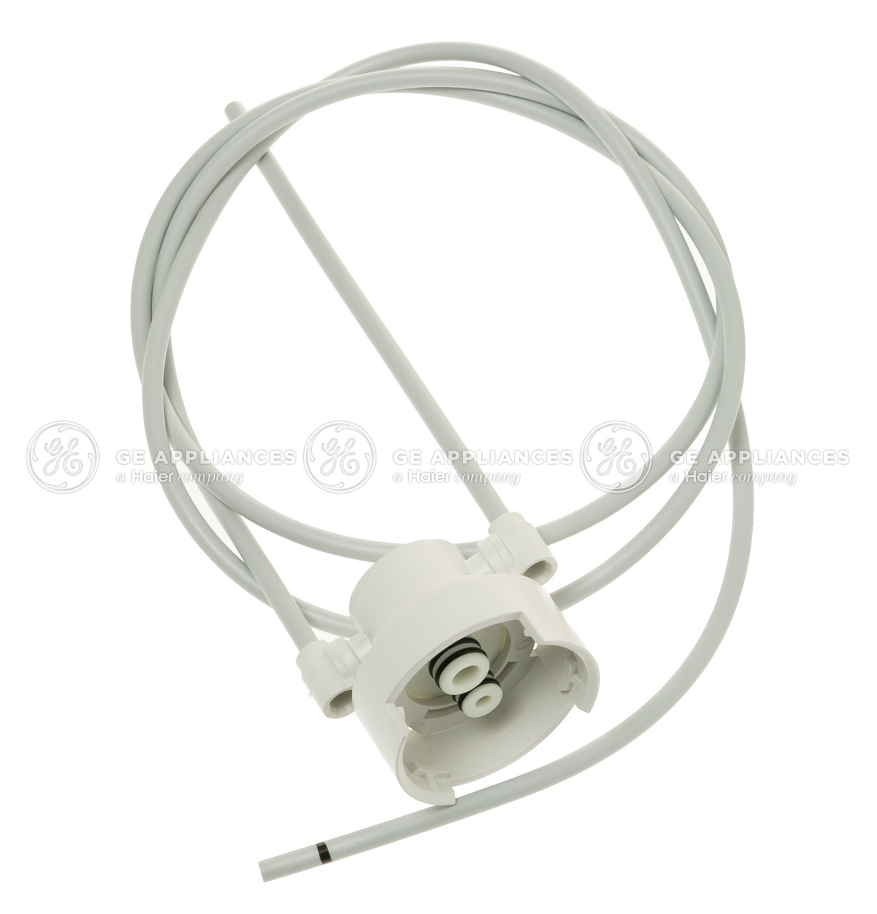 WR17X31816-7312.jpg
