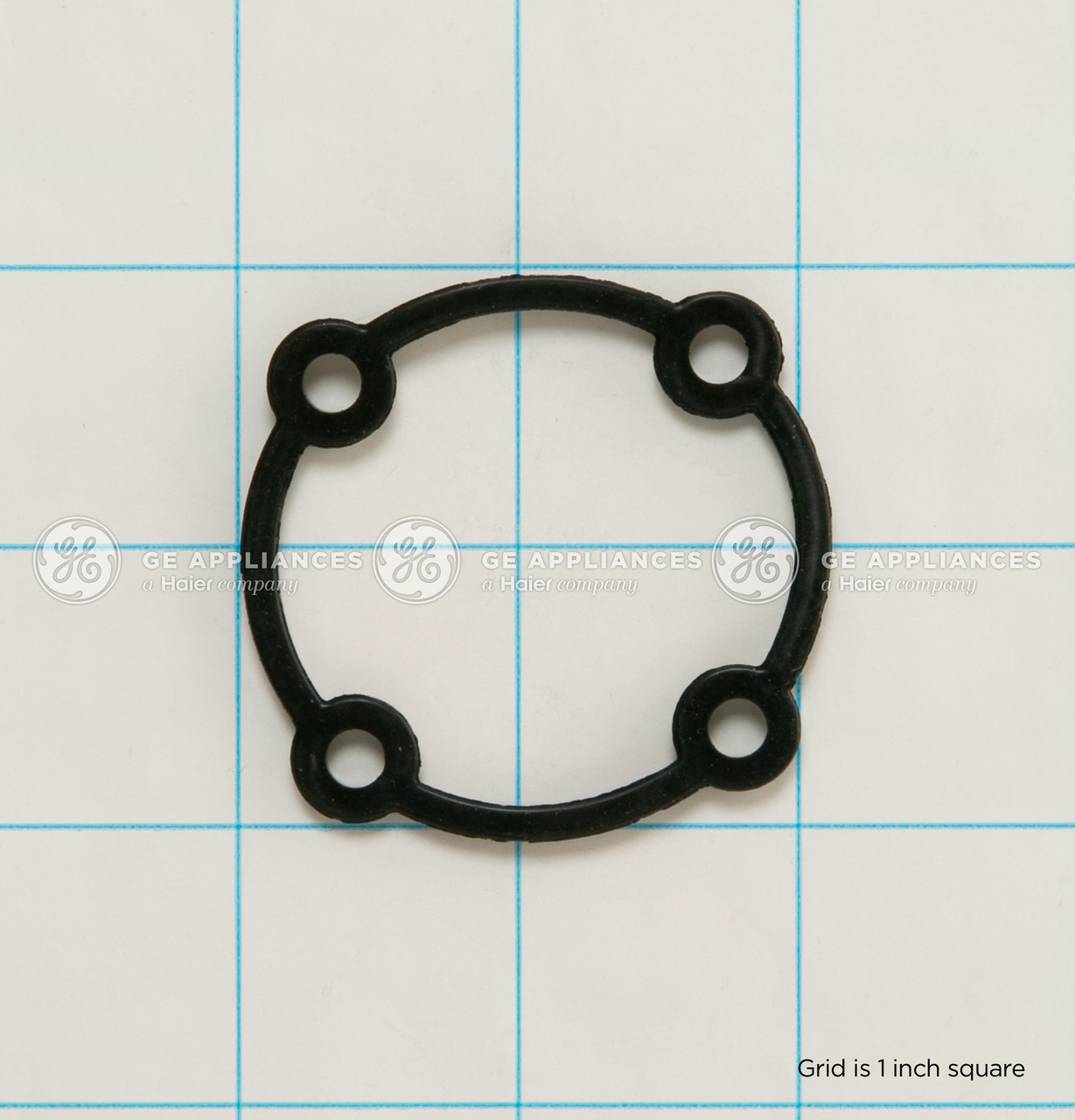 WD08X24660-4768.jpg