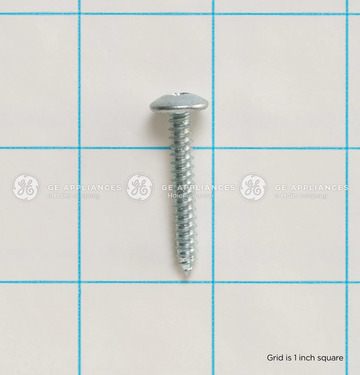 WE02X25454-0699.jpg