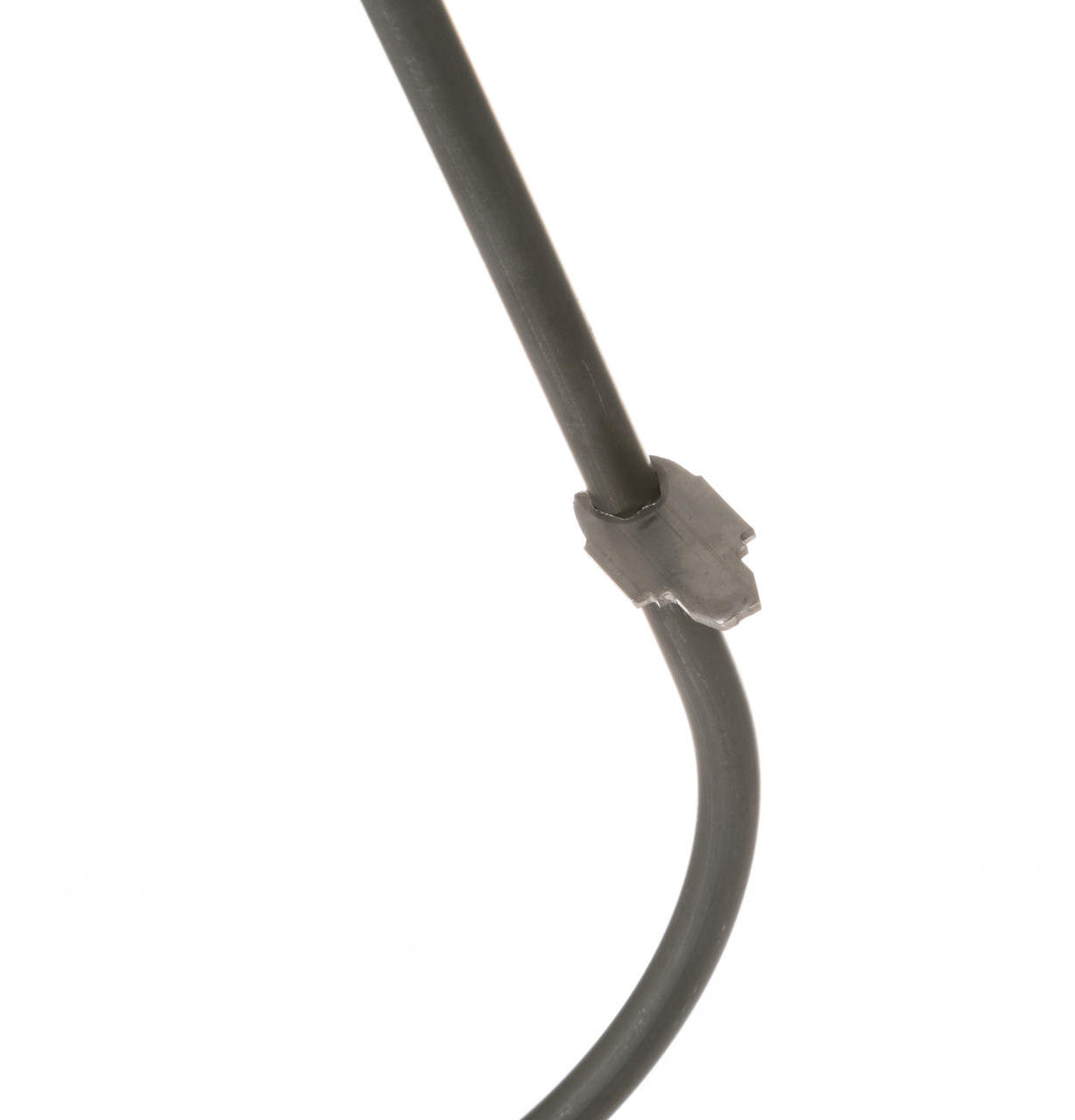 WB44X237-9910.jpg