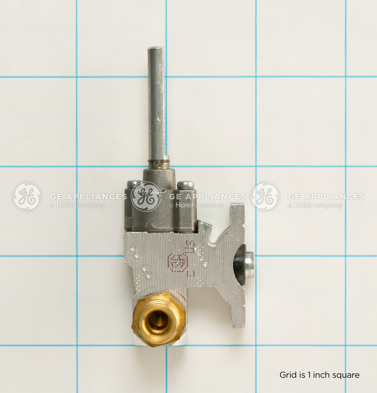 WB21X10133-5592.jpg