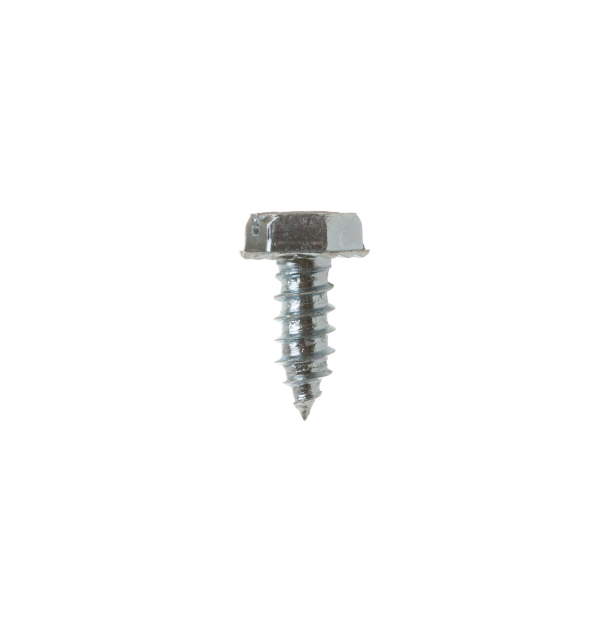 WD2X5166-2368.jpg