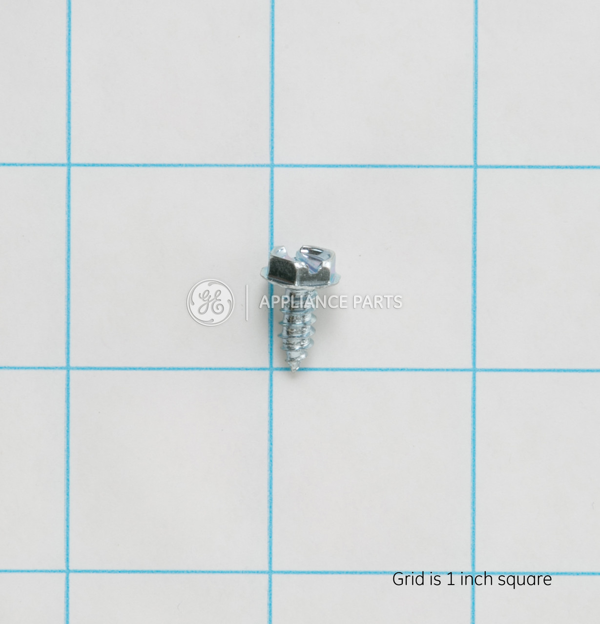WD2X5166-2778.jpg