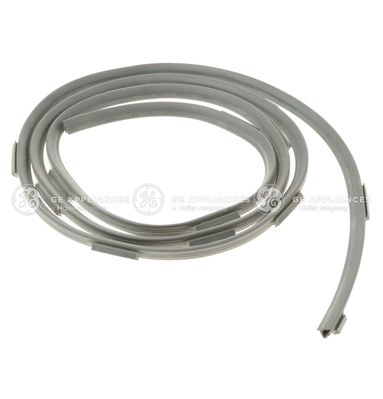 WE9M48-5413.jpg WE9M48-5413.jpg