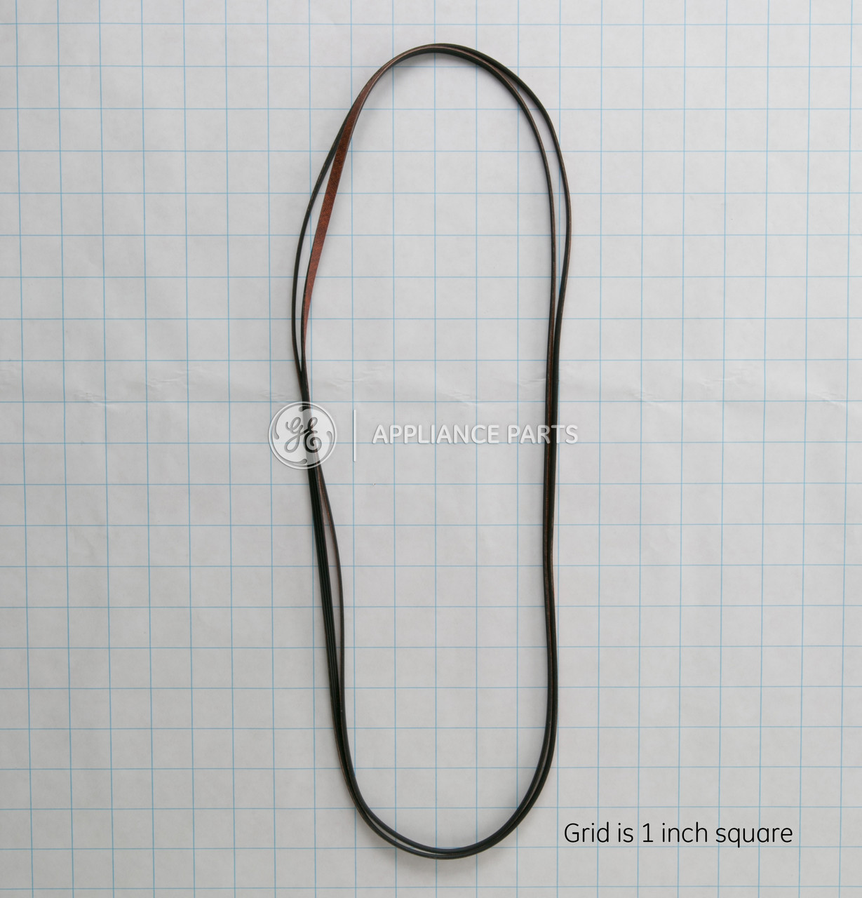 WE12M29-4823.jpg WE12M29-4823.jpg