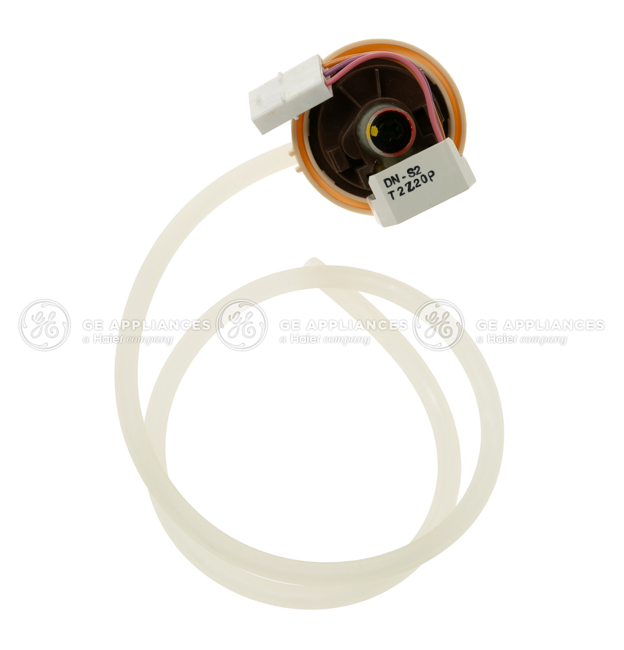 WH12X10103-1391.jpg
