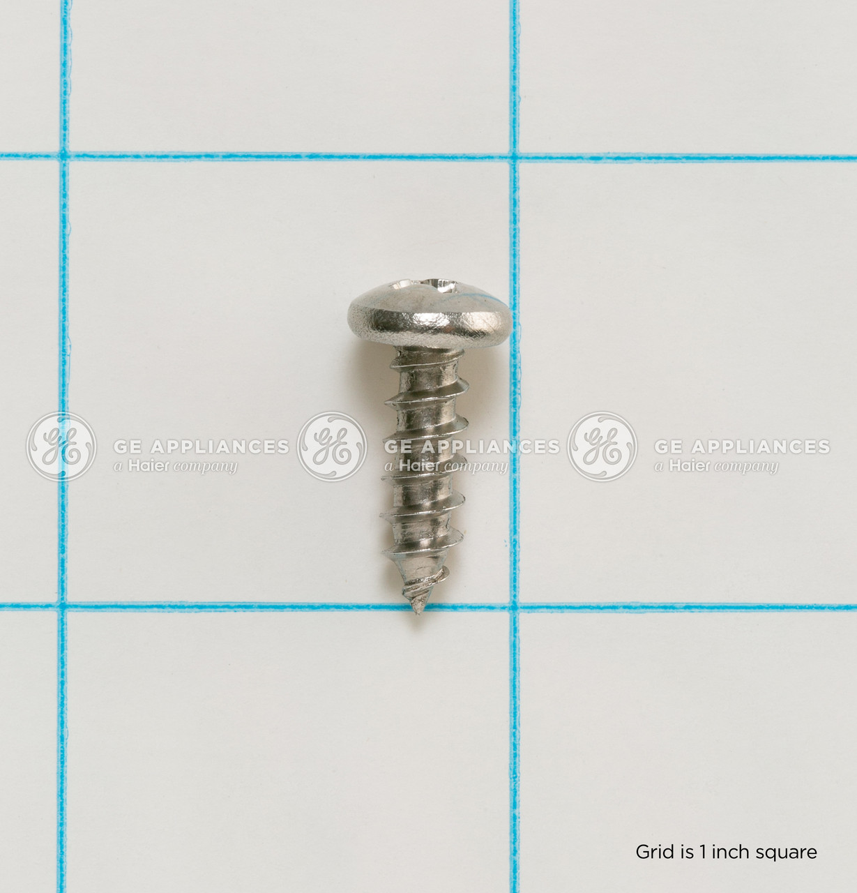 WR01X25968-4397.jpg