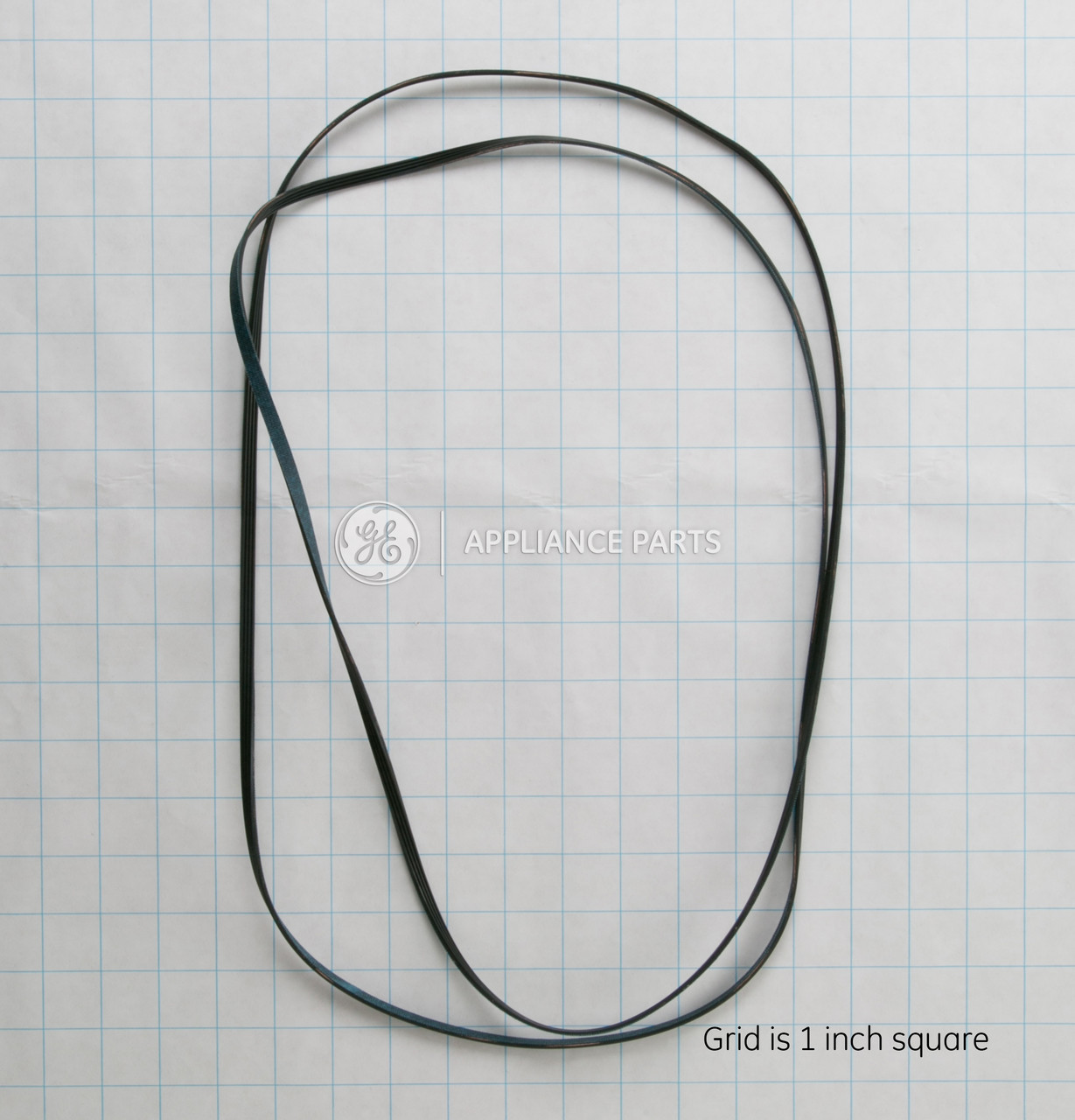 WE12X10014-4822.jpg
