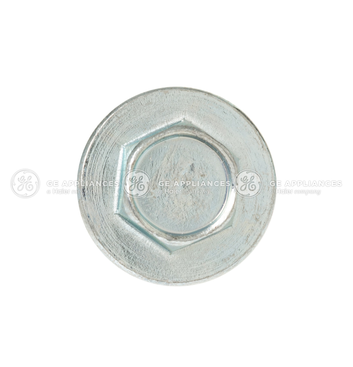 WE2M237-7381.jpg