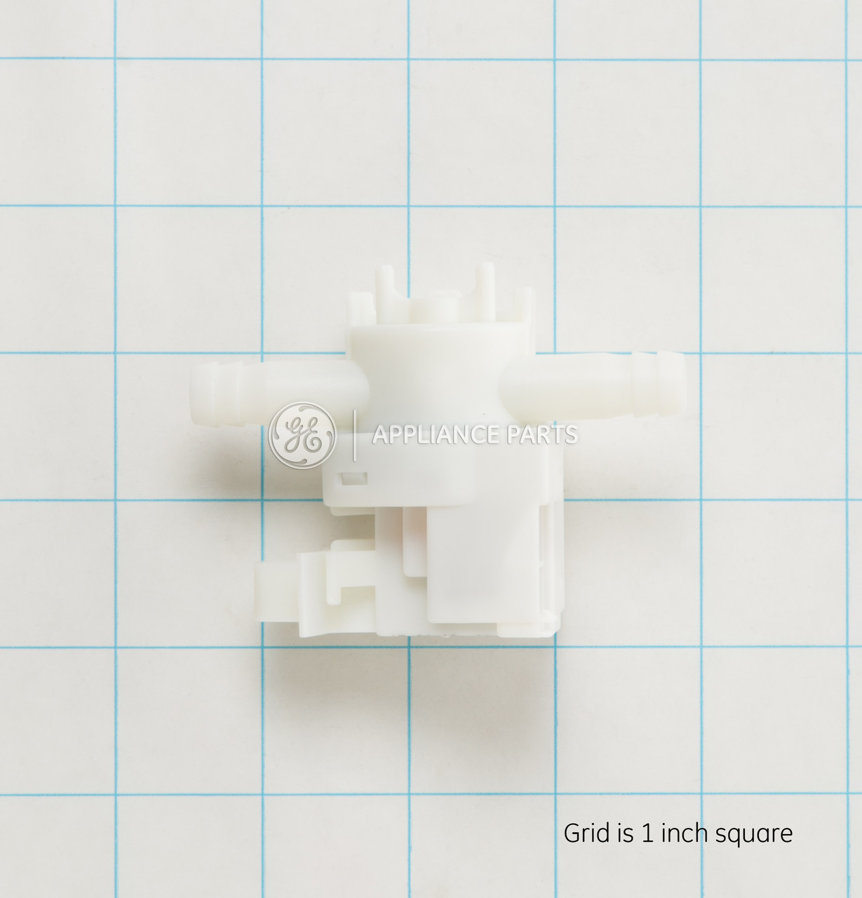 WH12X10564-8968.jpg